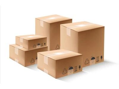 Investing in the Future: How the Paper and Paperboard Packaging Industry is  Poised for Growth