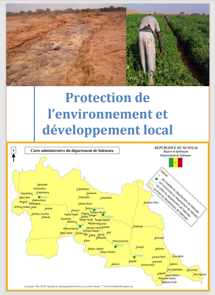 Protection de l’environnement et développementlocal